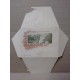 ARGENTINA ENTERO POSTAL GJ SZC-13-17-V SOBRE CARTA POSTAL CON VISTA INTERIOR USADO U$ 25